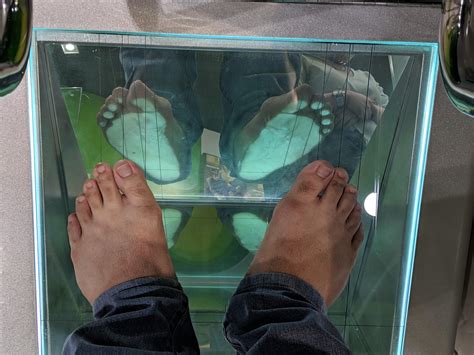 I know I have very wide and severely flat feet. I just want to know if