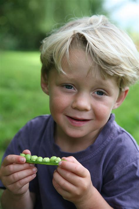 Ripening tomatoes 5 ways to ripen green tomatoes – Artofit