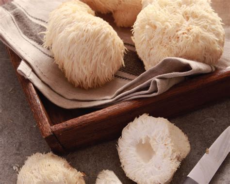 Lions Mane Benefits | Garden of Life