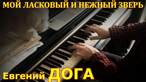 Мой ласковый и нежный зверь - Евгений Дога - YouTube