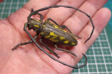 Download free STL file Batocera lineolata • Template to 3D print ・ Cults