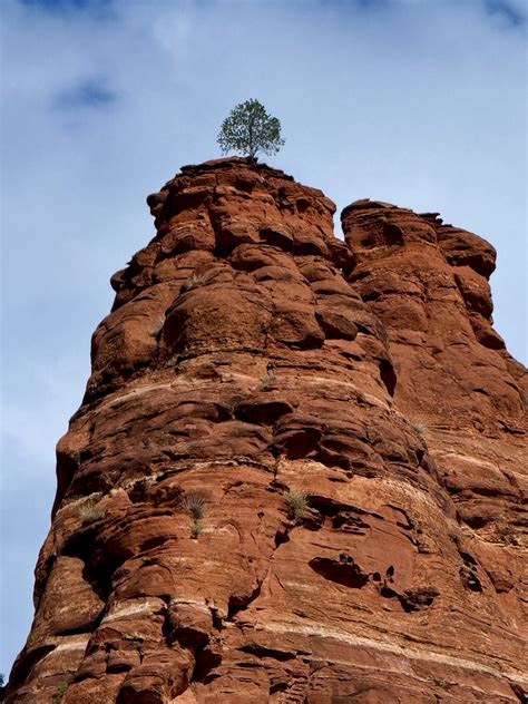 Scrubby, - VIA Archie Tucker: December 28, 2021Here’s why the