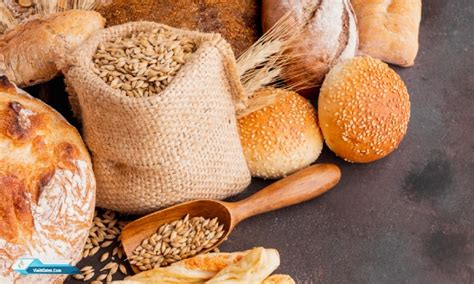 jenis gandum  dibudidayakan  dunia visit klaten