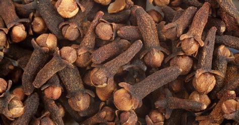 cuisoare plantextrakt