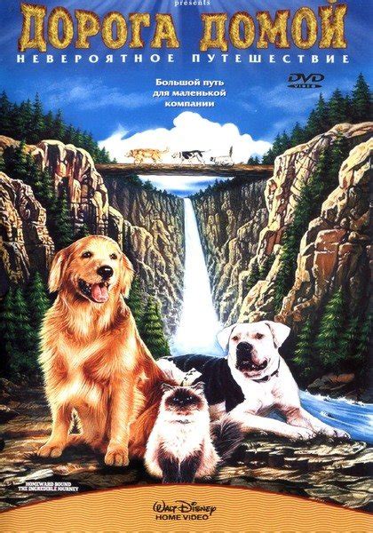 Фильм "Дорога домой: Невероятное путешествие" 1993 (Homeward Bound: The ...