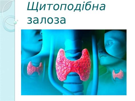 Щитоподібна залоза. Гіпертеріоз - презентация онлайн