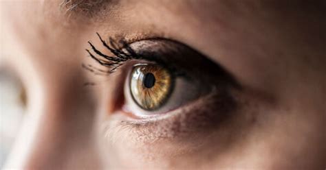 3D Eye Scans Spot Early Parkinson’s Disease Sign [1 min read]