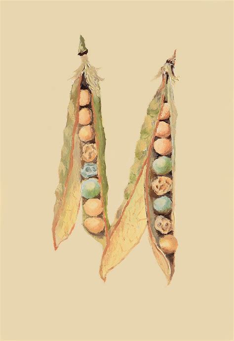 Unraveling Mendel's Genetic Legacy: The Birth of Genetics