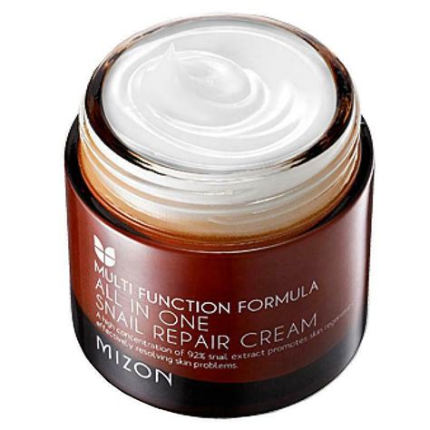 MIZON - All in One Snail Repair Cream - 75ml | Beauty Amora | Australia ...