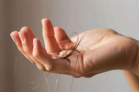 how many hairs are normal to fall in a day