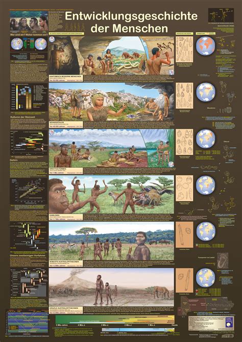 sachposter - Poster "Entwicklungsgeschichte der Menschen"