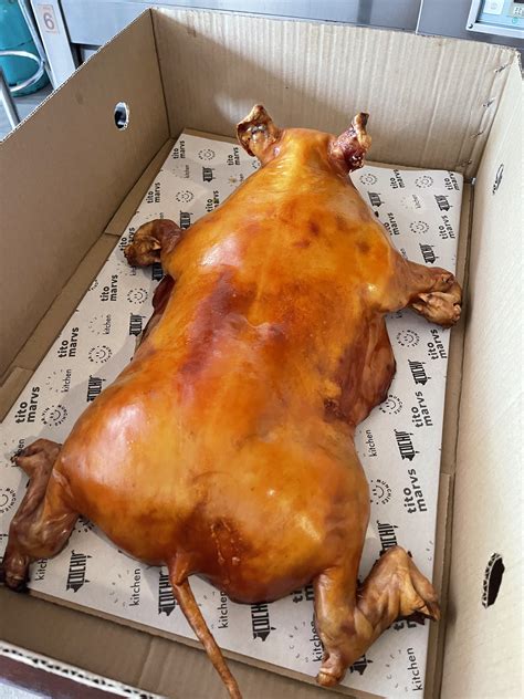 Cochinillo Medium | Lazada PH