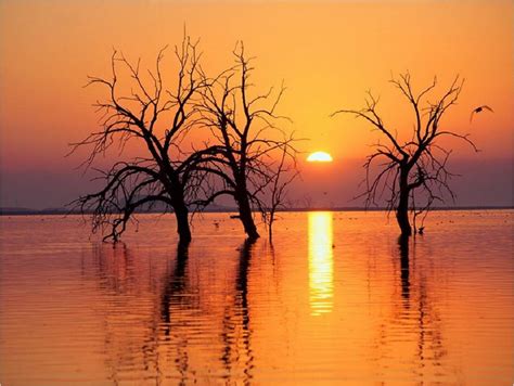 El crepúsculo – La Boutique del Powerpoint