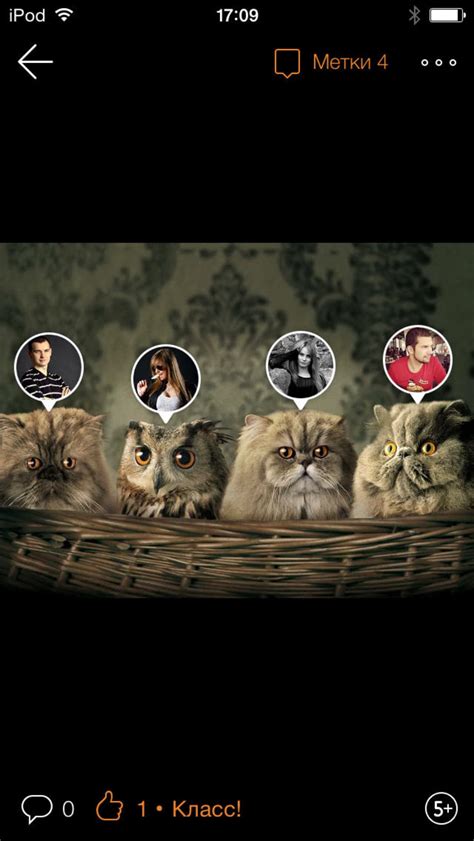 Одноклассники: Общение онлайн for iPhone - Download