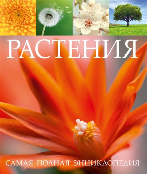 Растения. Самая полная энциклопедия - купить книгу по низким ценам с ...