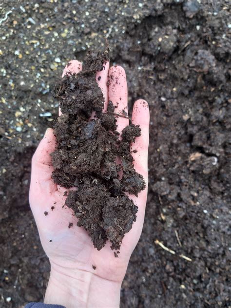 Leaf mould compost for sale - Waste Down - Good Natured Composting