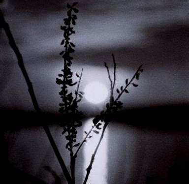 :: Elos no Horizonte ::: A madrugada