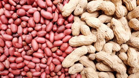 What's The Best Way To Store Shelled Vs. Unshelled Peanuts?