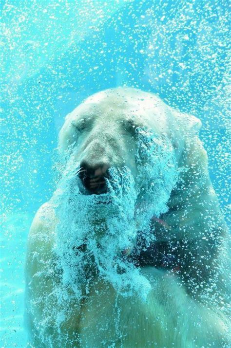 Large+Natural+Breasts+On+The+Beach Photos, Download The BEST Free Large