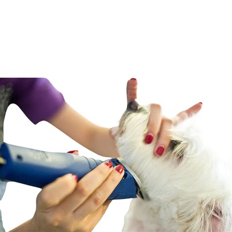 Andis Pet Clippers