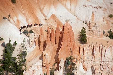 Mule ride in Bryce Canyon National Park | Smithsonian Photo Contest ...