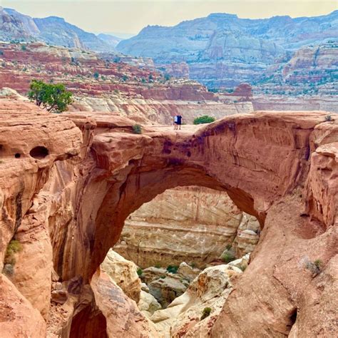 Capitol Reef National Park: Your 2-Day Guide - Hearty Hiker