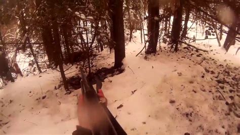 охота на кабана со спаниелью,такой охоты вы еще не видели,выскочил из ...