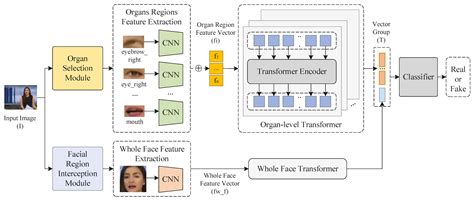A Transformer-Based DeepFake-Detection Method for Facial Organs