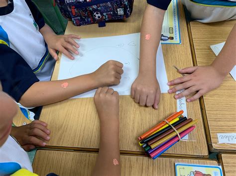 Descubriendo que el color carne no es solo salmón: los alumnos se