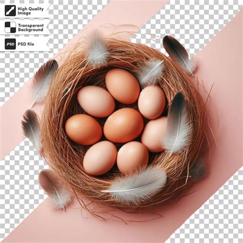 page  farm aesthetics eggs psd  high quality  psd templates