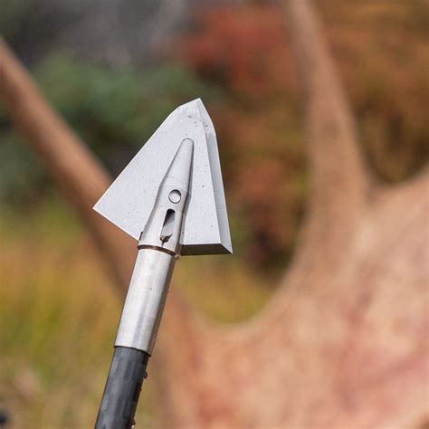 Shop a Variety of Premium Broadheads | Iron Will Outfitters