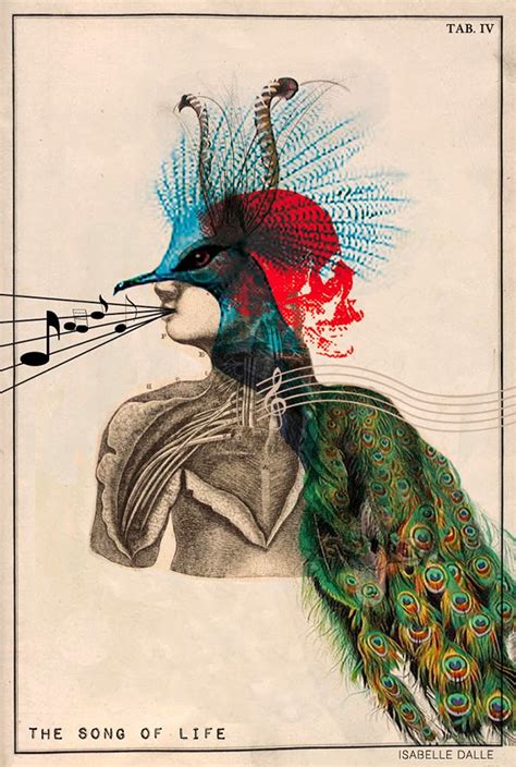 antblog: Isabelle Dalle