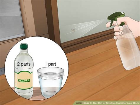 how to get rid spiders outside