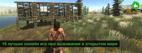 Игры про выживание в открытом мире на ПК - Лучшие MMO выживалки