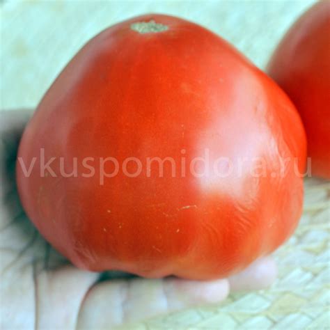 Купить семена томата сорт Минусинские шары красные