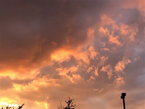 Motivational Monday Poem: Mourning Glory – Kelly Deeny