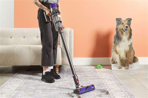 Best Canister Vacuum For Hardwood Floors And Pet Hair | Floor Roma
