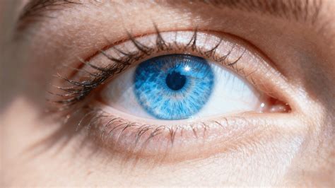 Limbal Rings: What They Reveal About Your Eyes – Wooeye