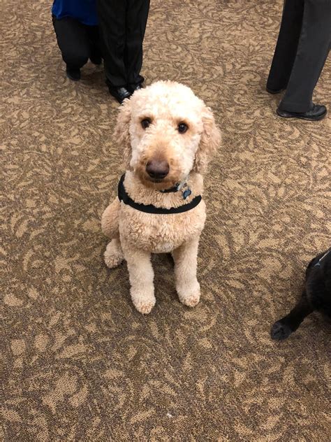 Professional Memorial Services at Ripepi Funeral Home 11