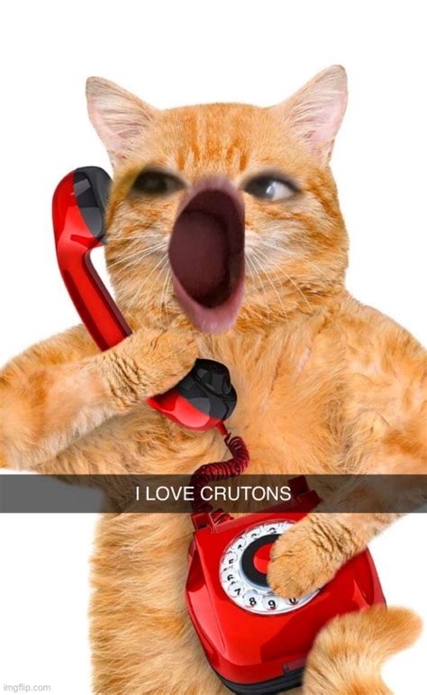 @Dork - Imgflip