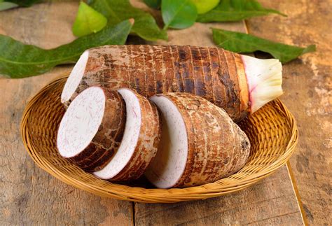 taro  golden food security crop growing futures