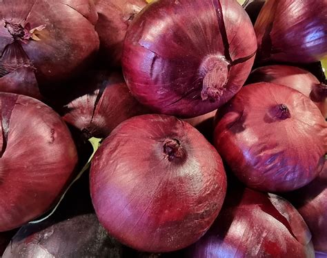 Cebolla roja. Frutería en el Clot de Barcelona. Frutería online en el Clot