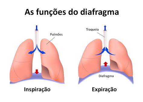 Dor No Diafragma O Que Pode Ser