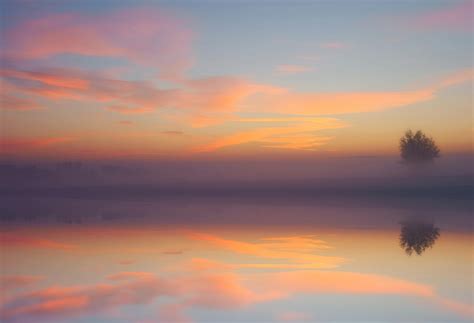 Relaxing & Calming Music for Sleep & Focus | Calm Radio