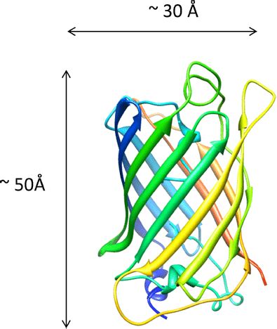 The crystal structure of Green Fluorescent Protein (GFP) monomer-Pdb ...