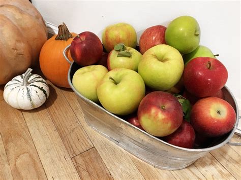 Apple Picking – As Told By Ash and Shelbs