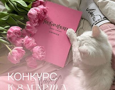 Asaya Projects | Photos, videos, logos, illustrations and branding on ...