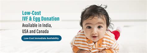 Egg Donor and Surrogacy Agency | Indian Egg Donors