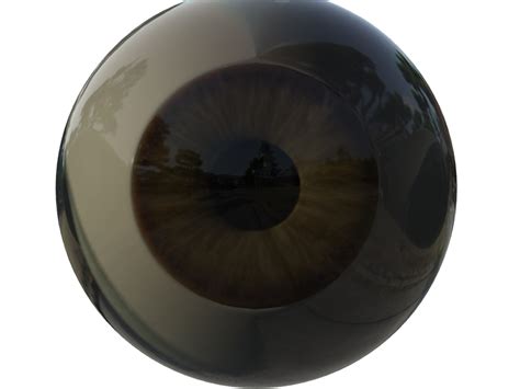 3ds Max Eye Iris