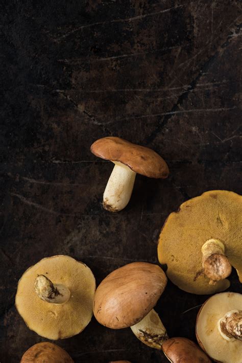 Mushrooms Active Ingredient - RYZE Superfoods